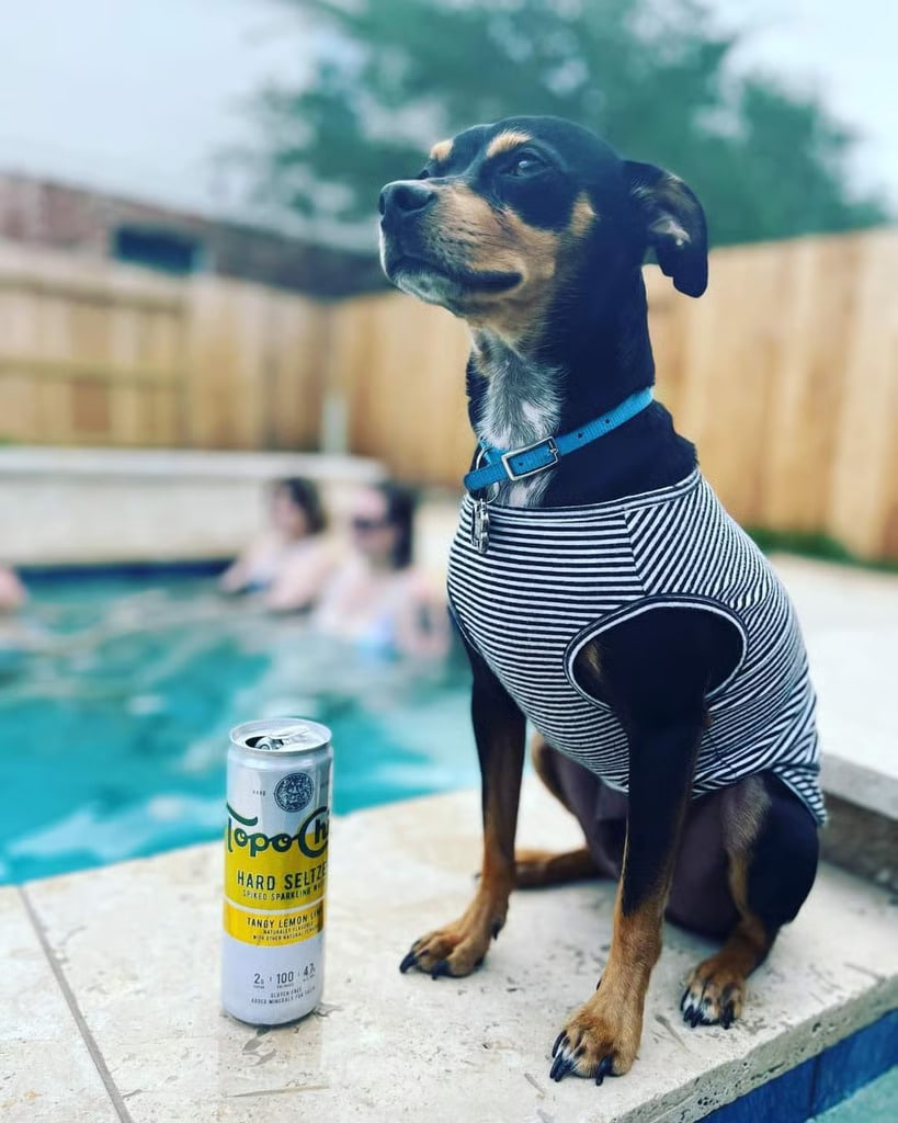 w=819,h=1024,fit=crop,format=auto